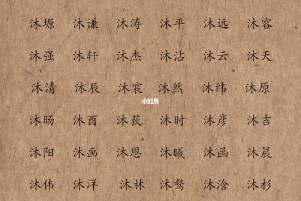 蛇宝宝男孩起名指南 专注个性与寓意 蛇宝宝男孩起名指南 专注个性与寓意