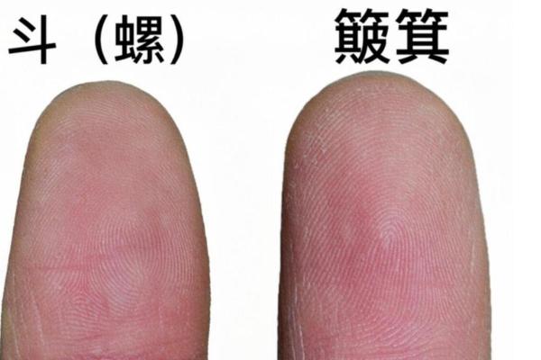 斗簸萁命在命运发展中的重要性解析