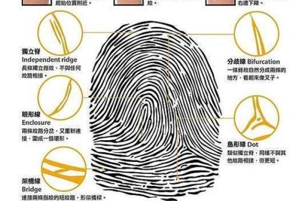 斗簸萁命在命运发展中的重要性解析