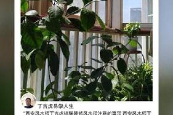 如何选择合适的陕西家居风水调理师提升家庭运势