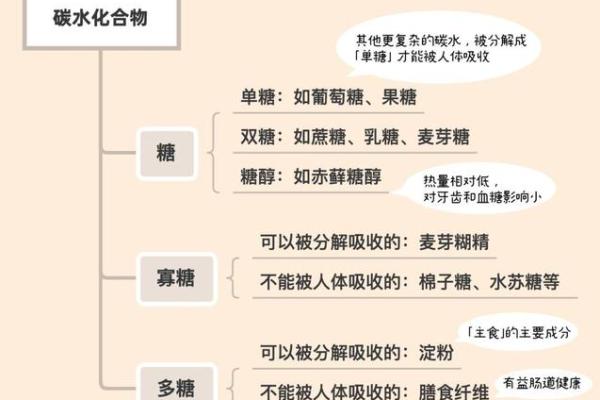 从五行角度解读糖对人体的影响