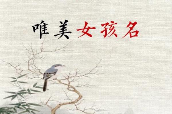 适合女孩的兰字名字精选与灵感来源