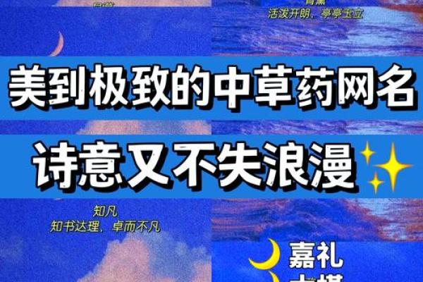 探索名字背后的快乐寓意