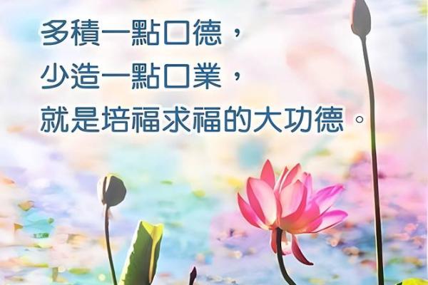 城市风水与八字合命：城市布局如何影响人的运势