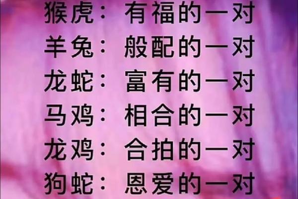 蛇与蛇的缘分解析 适合在一起吗