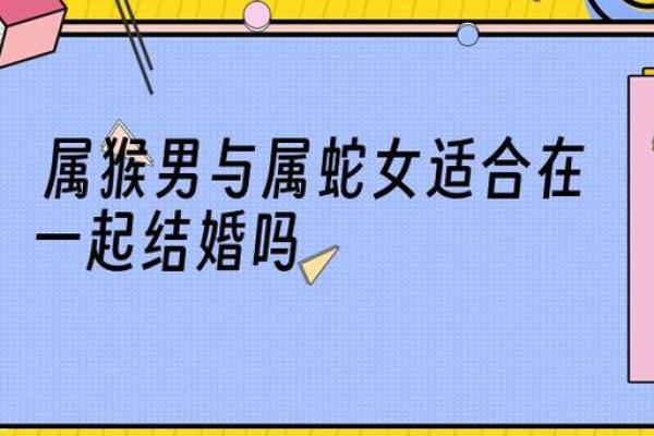 蛇与蛇的缘分解析 适合在一起吗