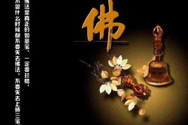 纯合命的奥秘：如何看待命运的独特组合
