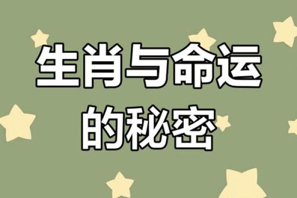 今天的命运揭示：你属于哪种命格？