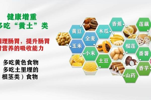 五行理论与饮食营养的巧妙结合解析