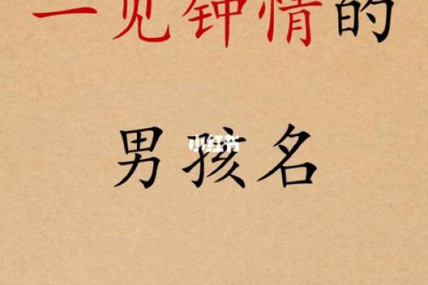 冉字如何提升男孩名字的气质与内涵