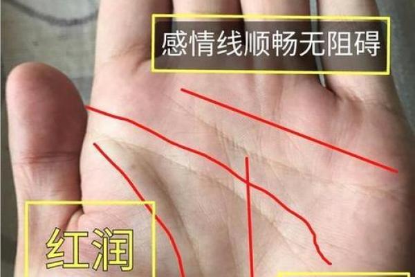 什么是富贵命：解读命运中的财富与贵气