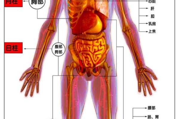八字四柱如何影响女性健康状况