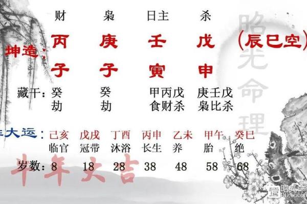 适合无婚姻八字的人生规划建议