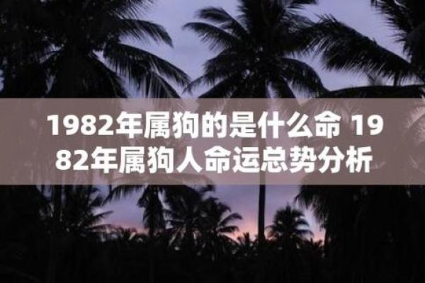 七九年出生的命运与运势走势分析