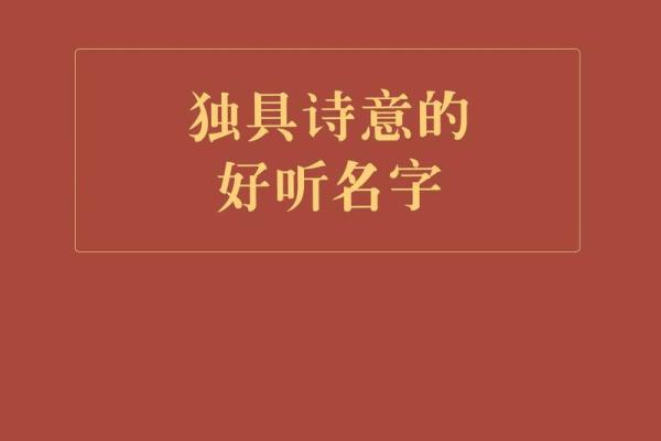 解析伊人名字中的诗意与艺术气息