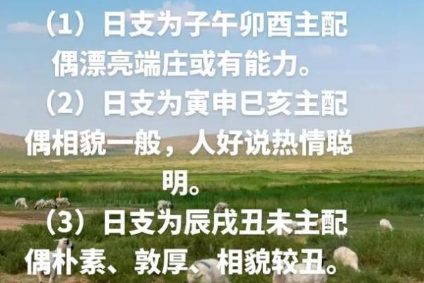 八字看二婚感情的稳定性