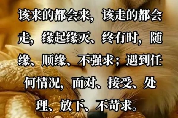 命好的人背后隐藏的命运密码
