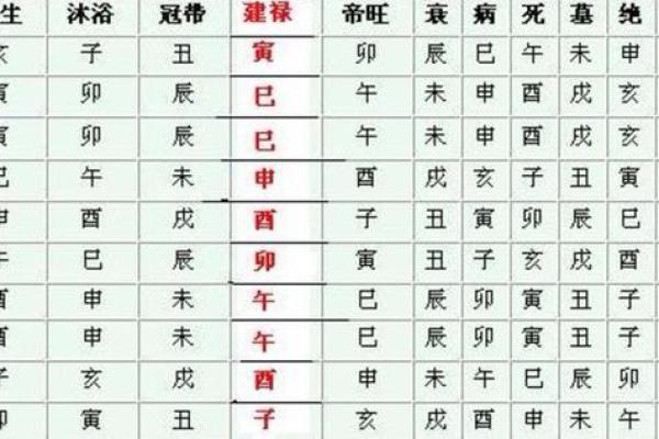地支子午卯酉全的八字分析与命理解读