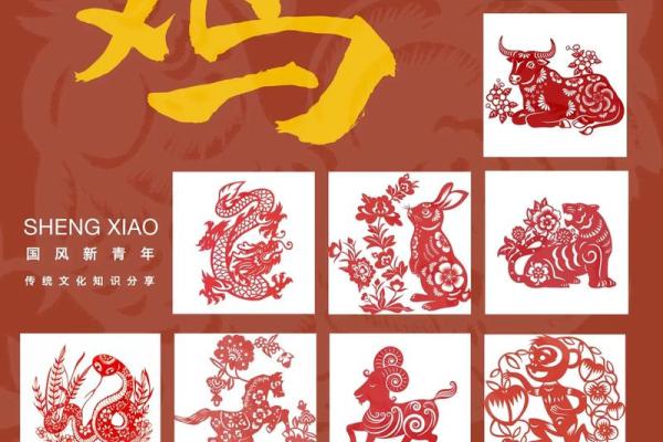 属什么生肖 解析生肖运势与性格特点