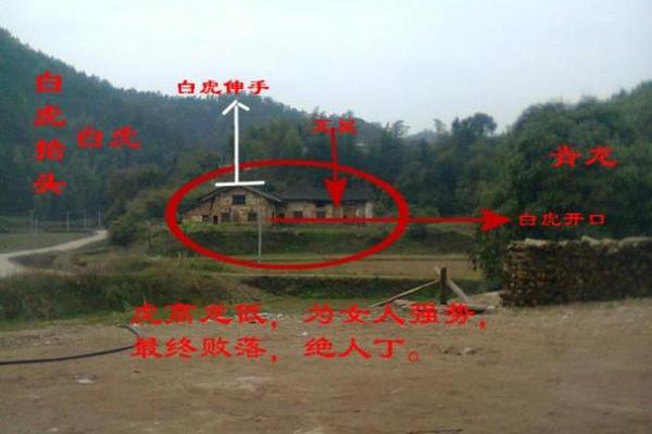提升家庭运势，从青龙位的风水布局开始