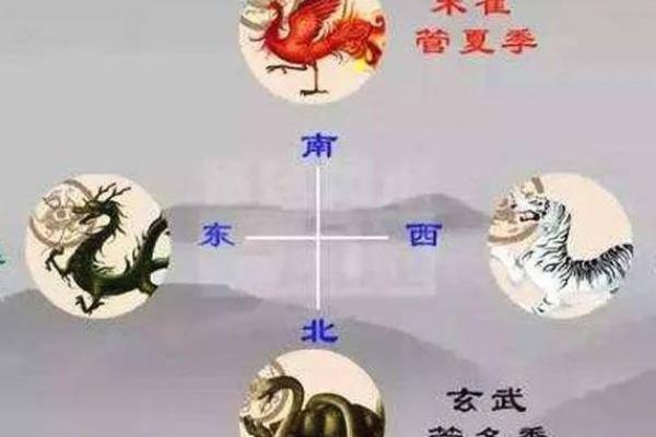 提升家庭运势，从青龙位的风水布局开始