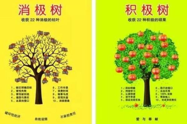 天煞孤星命与人生运势的深度关系