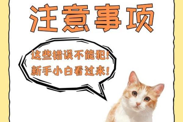 养猫助旺家居风水提升运势的五大好处 养猫助旺家居风水提升运势的五大好处