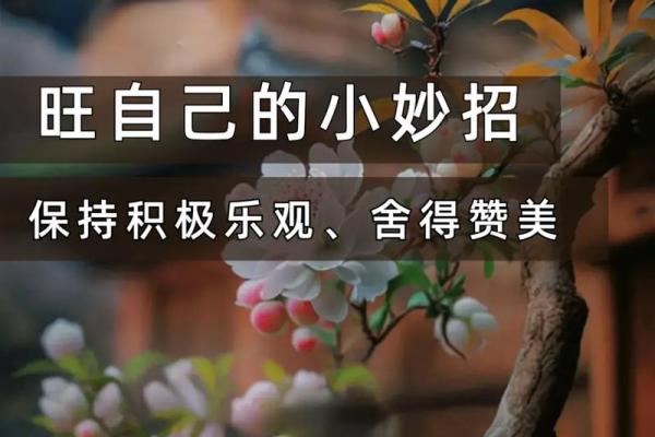 养猫助旺家居风水提升运势的五大好处 养猫助旺家居风水提升运势的五大好处