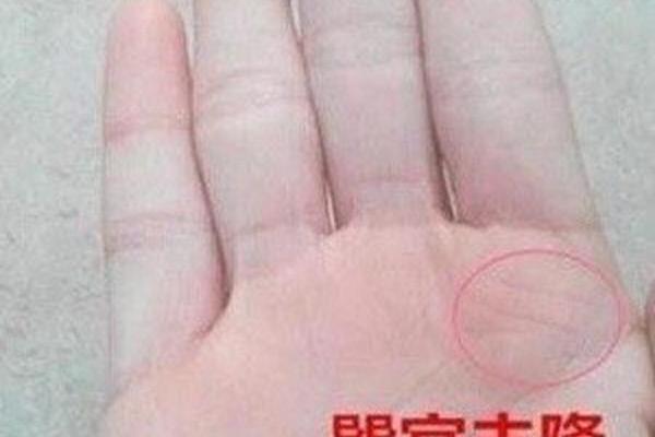 天生富贵命的标志：如何识别娘娘命