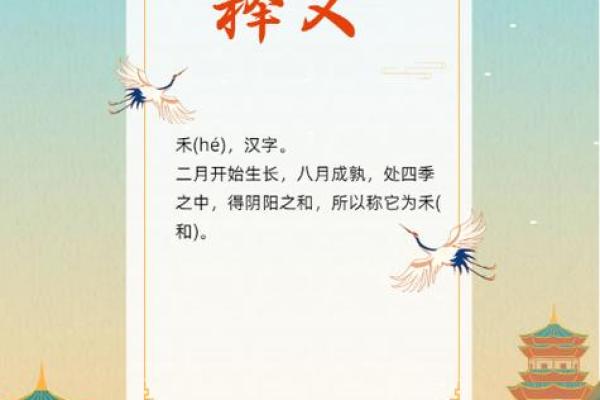 禾字旁名字的历史渊源与现代应用