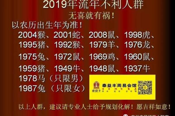 揭秘猪年运势走势与关键事项