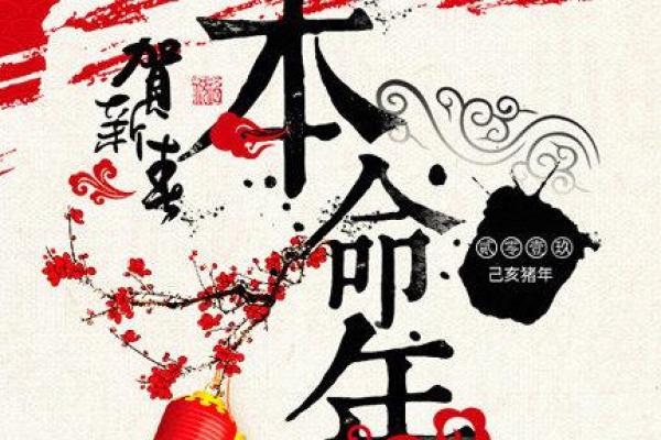 揭秘猪年运势走势与关键事项