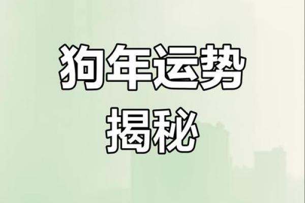 生肖狗的命运与性格特征深度解读