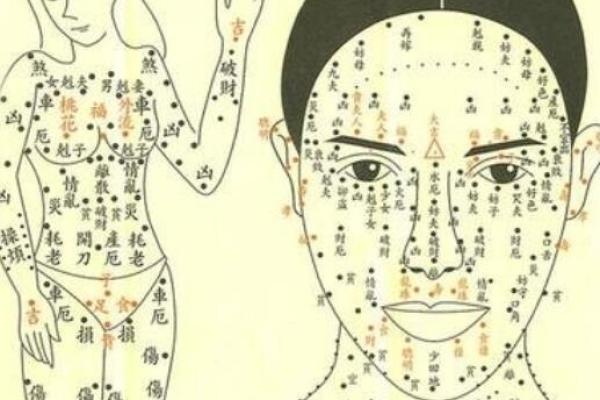 双重桃花八字对个人情感运势的深远影响