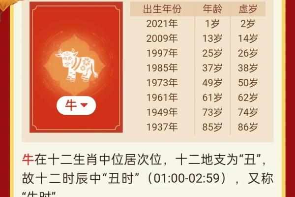 是什么生肖及其相关的运势解析