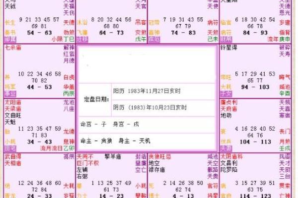 午命的概念与特点解析