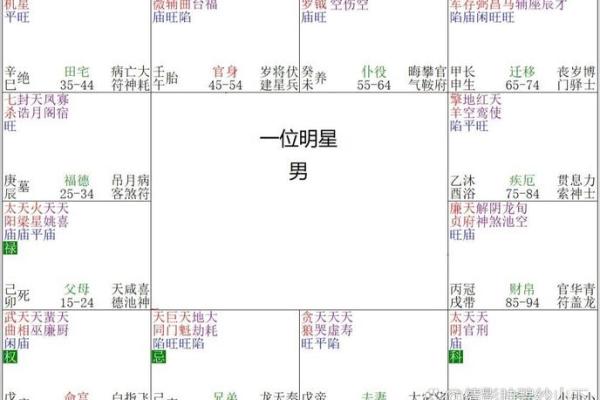 午命的概念与特点解析