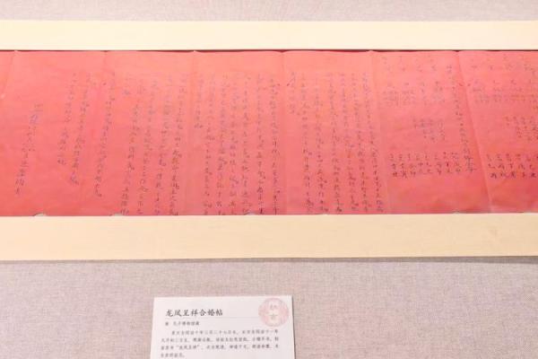阳命的定义与特点：深入解读命理中的阳命概念