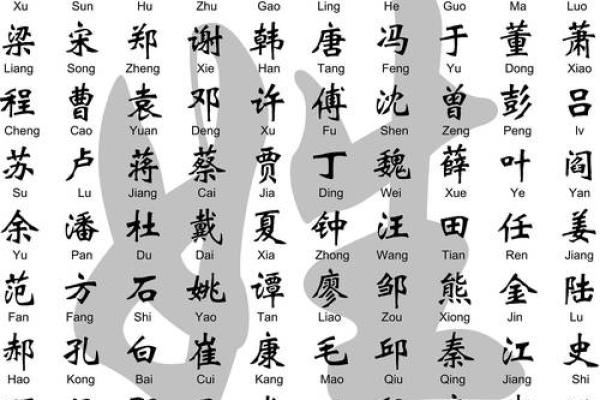 精选适合男孩的带磊名字大全