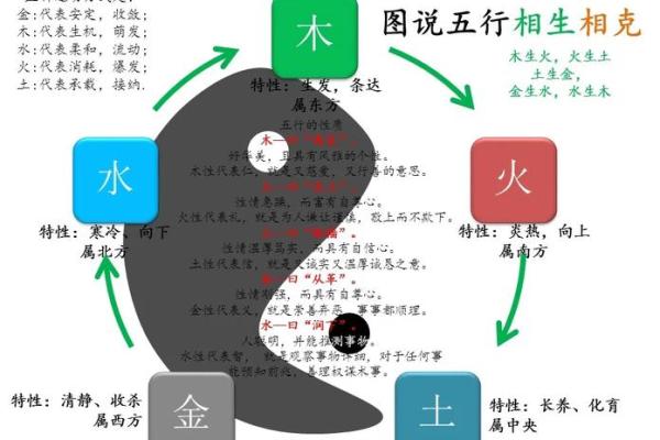 木命属相与五行的关系解析