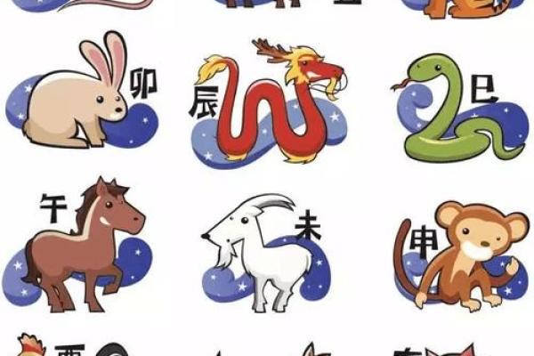 卯在十二生肖中代表什么动物