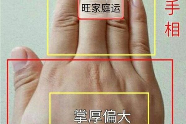享受老公福气的八字命理解析