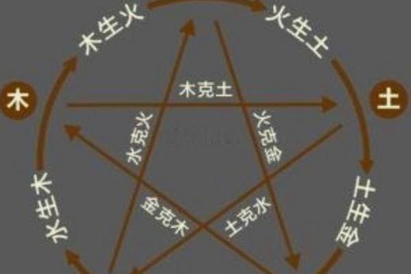 出生的命理分析与运势走向
