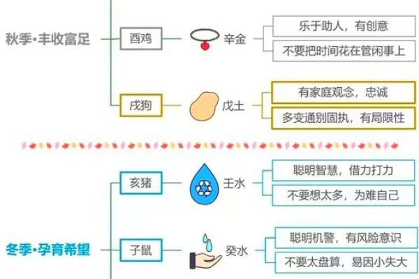 解读肖顺序的深层含义与传统智慧