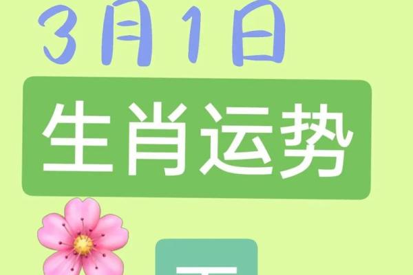 走羊运势如何调节，提升生活质量