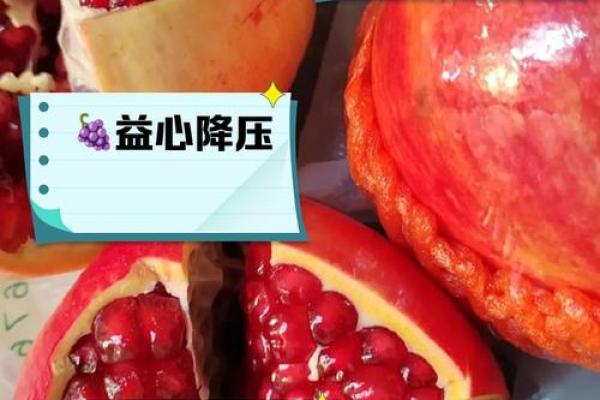 石榴木命的五行属性及其对人生的影响