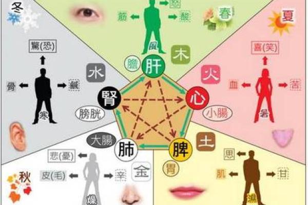 炒股五行的应用与实践：找准属于你的投资方向