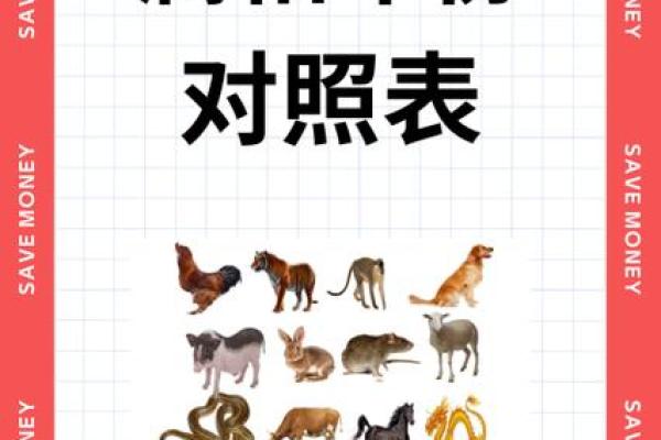 十二生肖年份与人生关键节点的关联