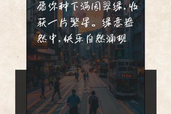 名字与快乐的秘密：乐在其中的深意