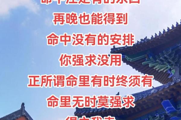什么是喜命及其对命运的深远影响